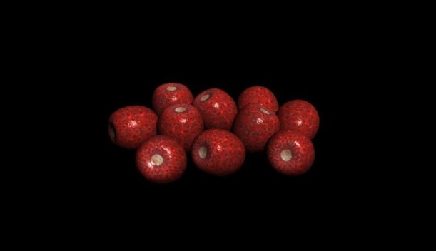山楂_三维食物3d模型下载