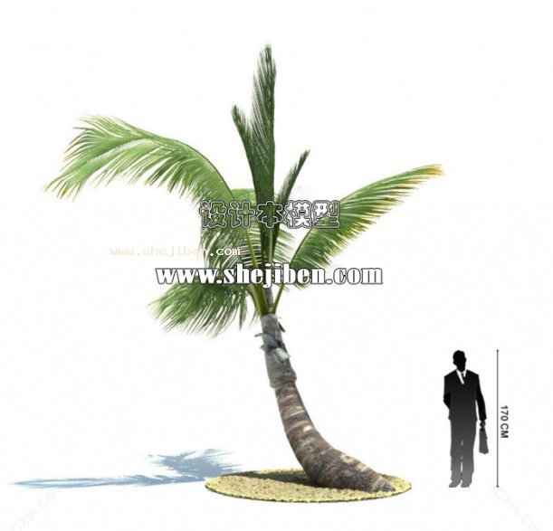 室外植物3d模型下载