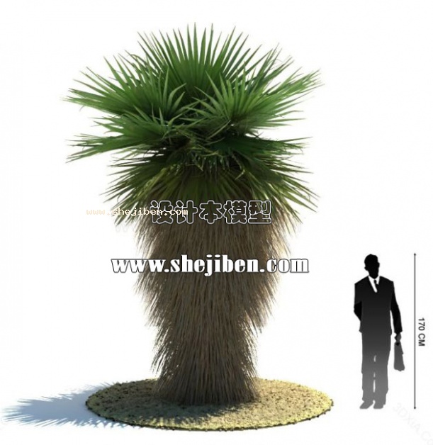 室外植物3d模型下载