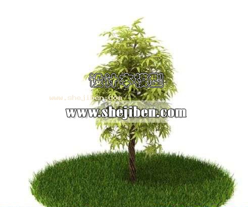 室外植物3d模型下载