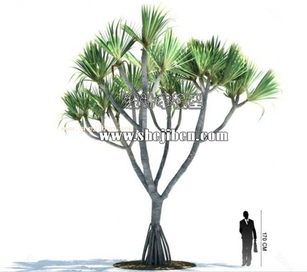 室外植物3d模型下载