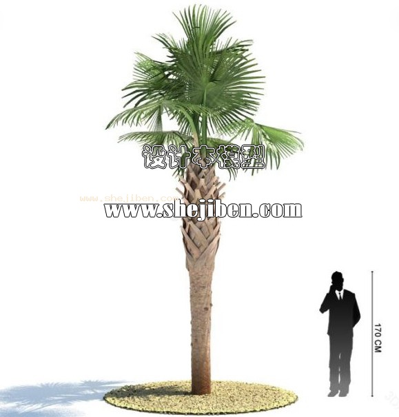 室外植物3d模型下载