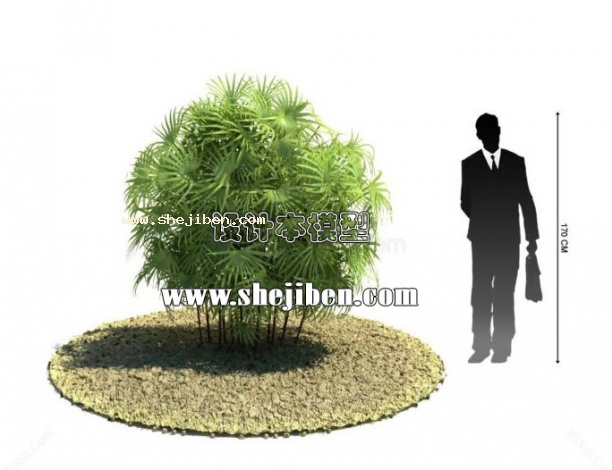 室外植物3d模型下载