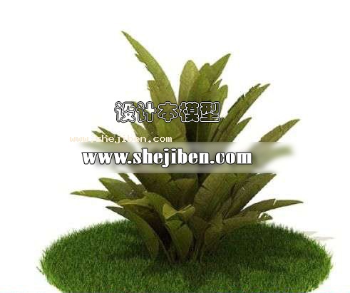 室外植物3d模型下载