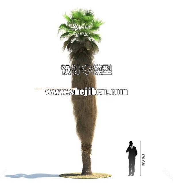 室外植物3d模型下载