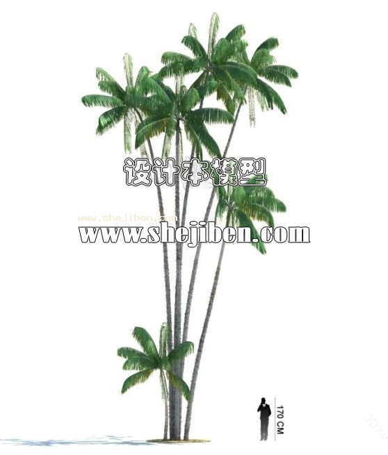 室外植物3d模型下载