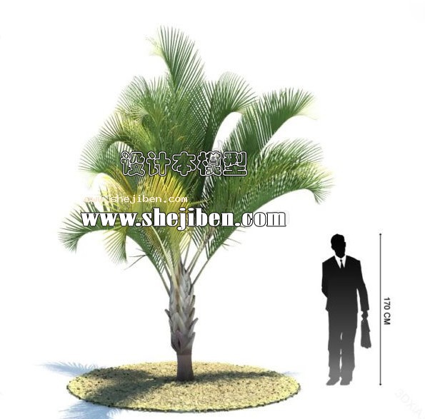 室外植物3d模型下载