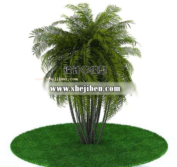室外植物3d模型下载