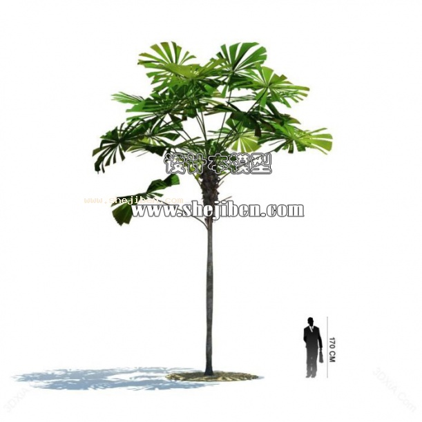 室外植物3d模型下载