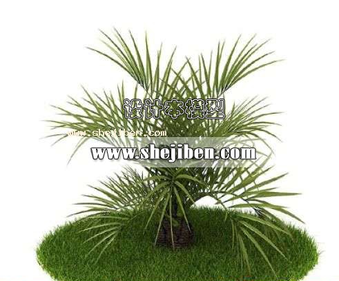 室外植物3d模型下载