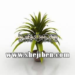 室内植物3d模型下载