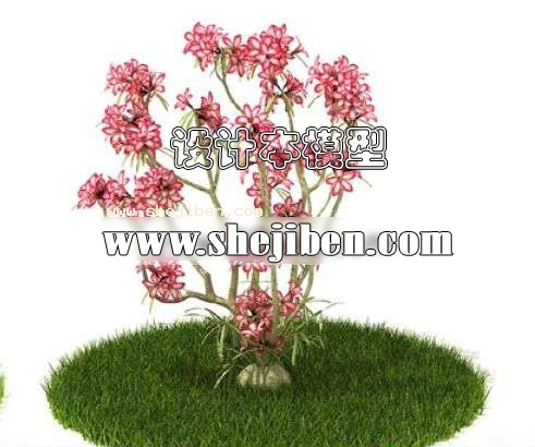 室外植物3d模型下载