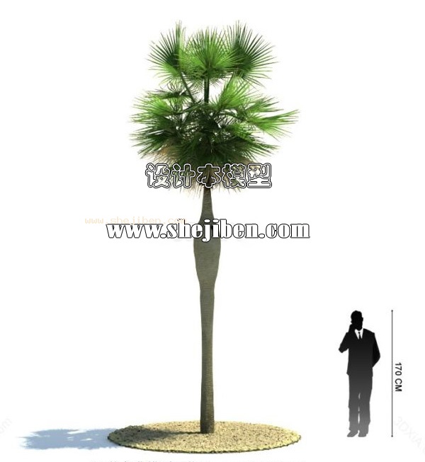 室外植物3d模型下载