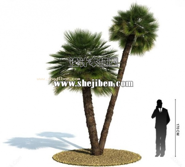 室外植物3d模型下载