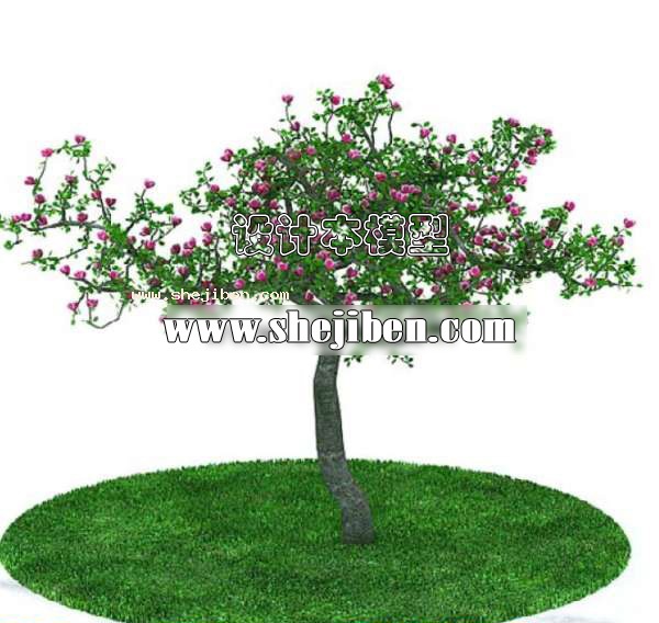 室外植物3d模型下载