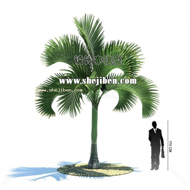 室外植物3d模型下载