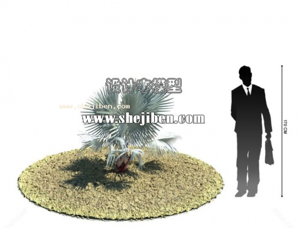 室外植物3d模型下载