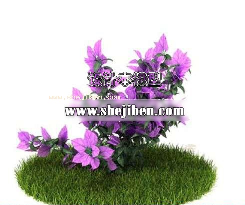 植物花的3d模型下载