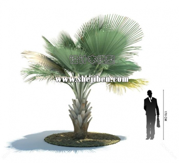 室外植物3d模型下载