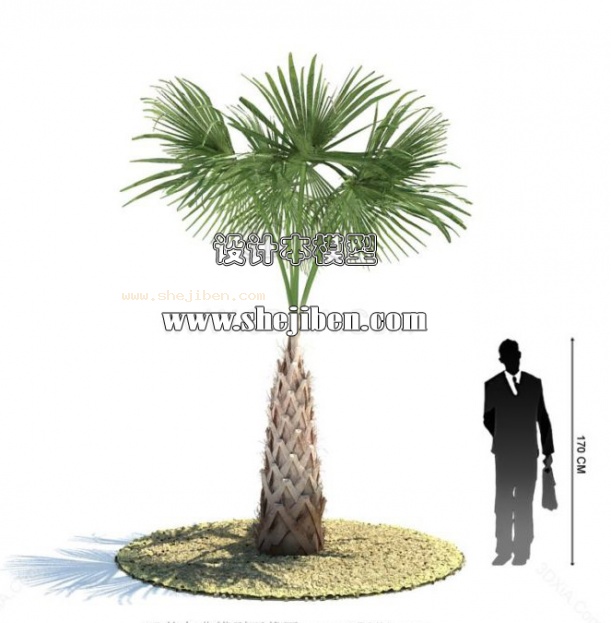 室外植物3d模型下载