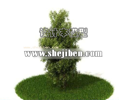 室外植物3d模型下载