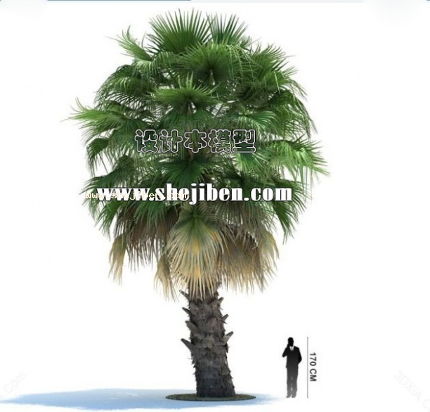 热带绿植3d模型下载