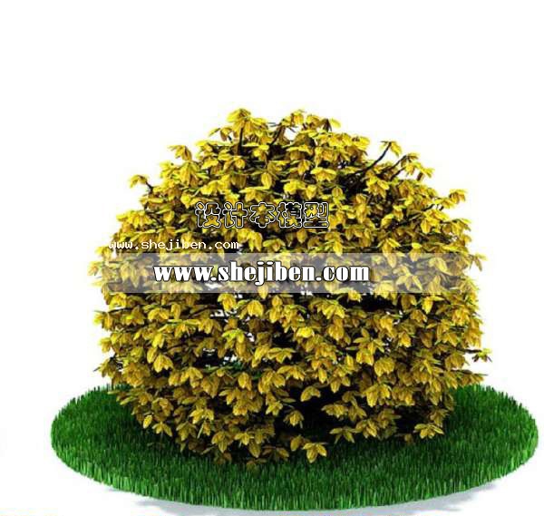 室外植物3d模型下载