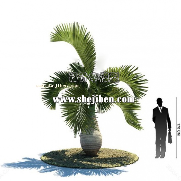 室外植物3d模型下载