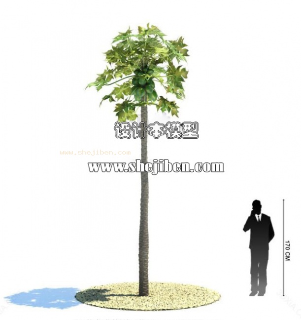 室外植物3d模型下载