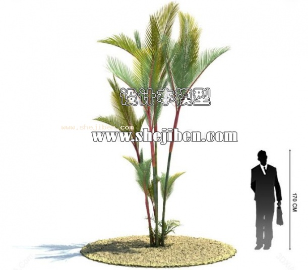室外植物3d模型下载