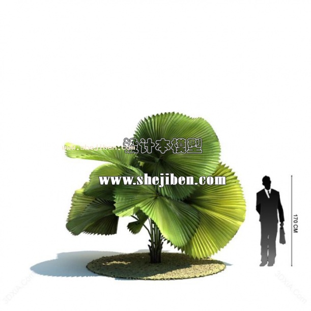 室外植物3d模型下载