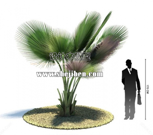 室外植物3d模型下载