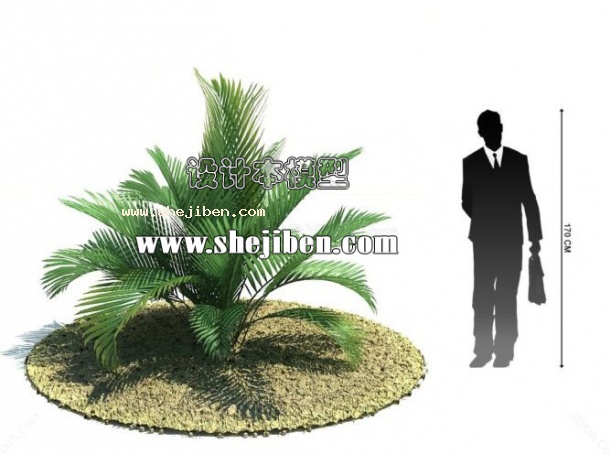 室外植物3d模型下载