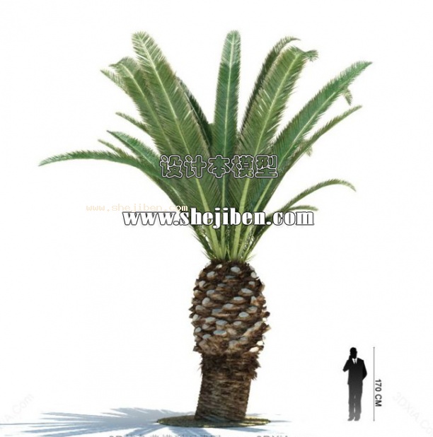 室外植物3d模型下载