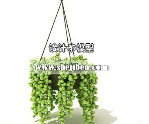 室外植物3d模型下载