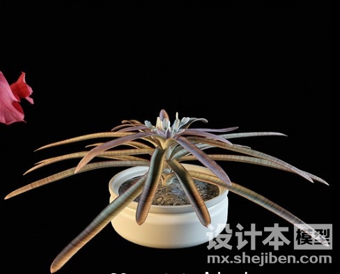 盆栽3d模型下载