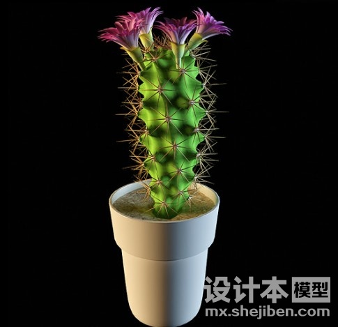 仙人掌树3d模型下载