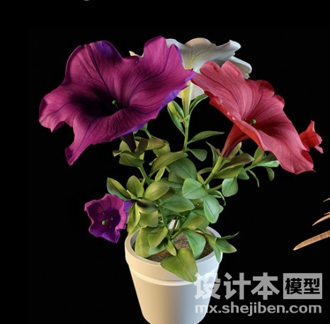 花的3d模型下载