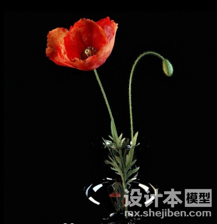家居饰品3d模型下载