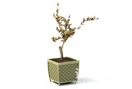 室内植物3d模型下载