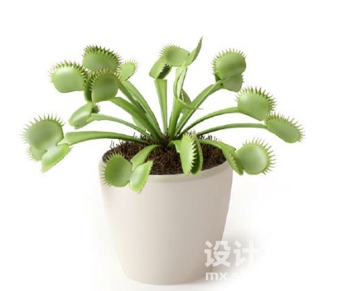 盆栽植物3d模型下载