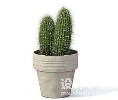 室内植物3d模型下载