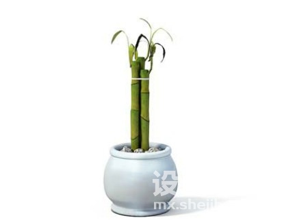 室内植物3d模型下载