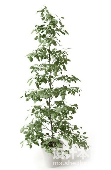 盆栽植物3d模型下载