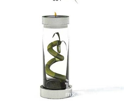 室内植物3d模型下载