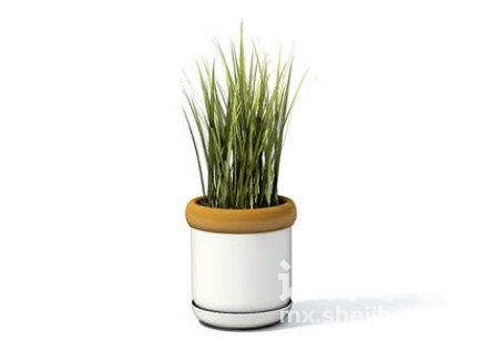 室内植物3d模型下载