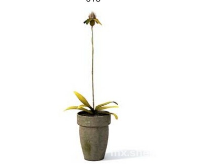 室内植物3d模型下载