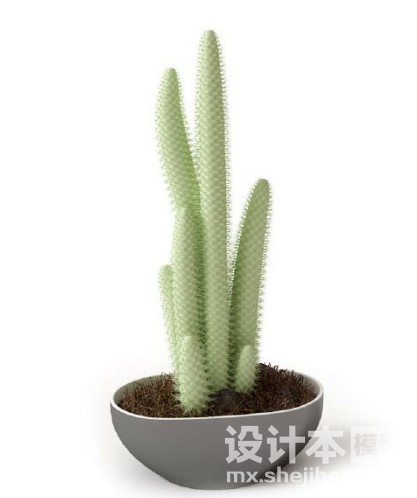 盆栽植物3d模型下载