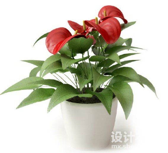 盆栽植物3d模型下载