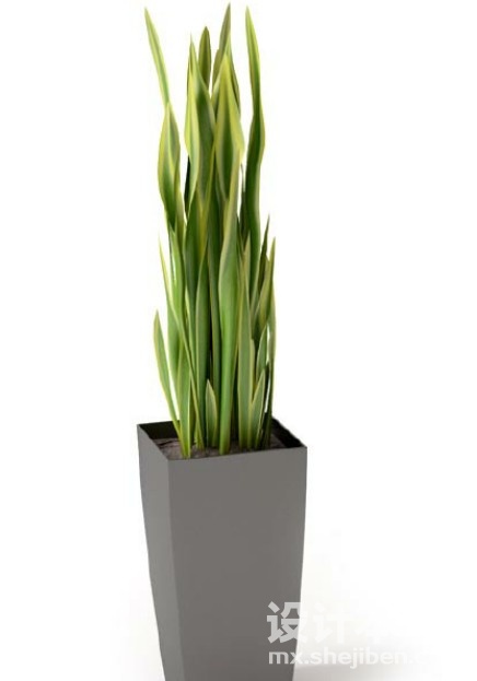 盆栽植物3d模型下载
